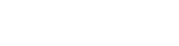 логотип-Домипец